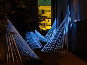 la llum del fènix